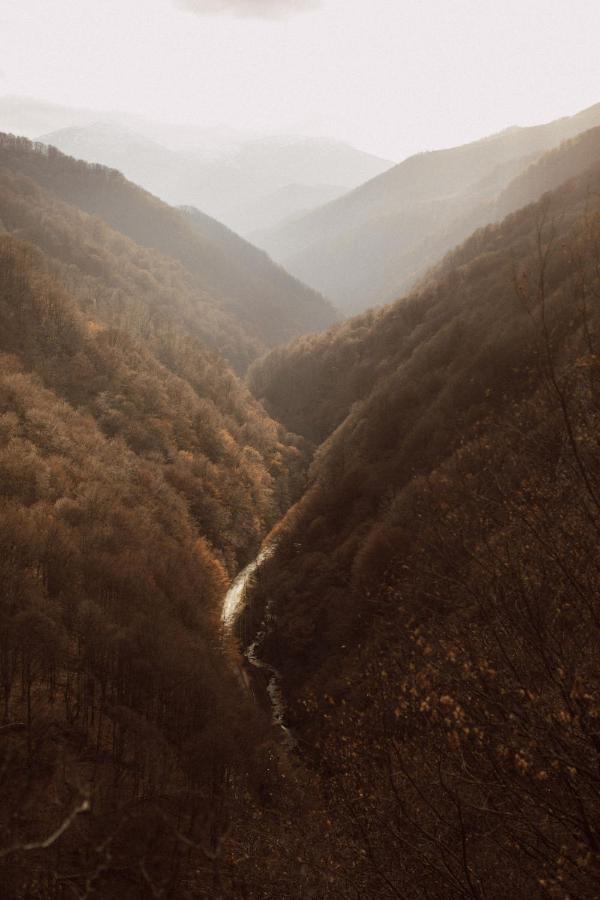 Pensiunea Retezat Rîu de Mori Exterior foto
