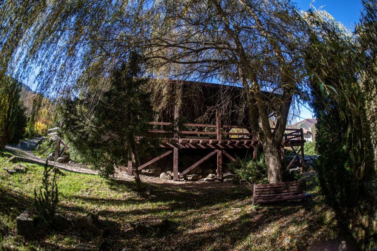 Pensiunea Retezat Rîu de Mori Exterior foto